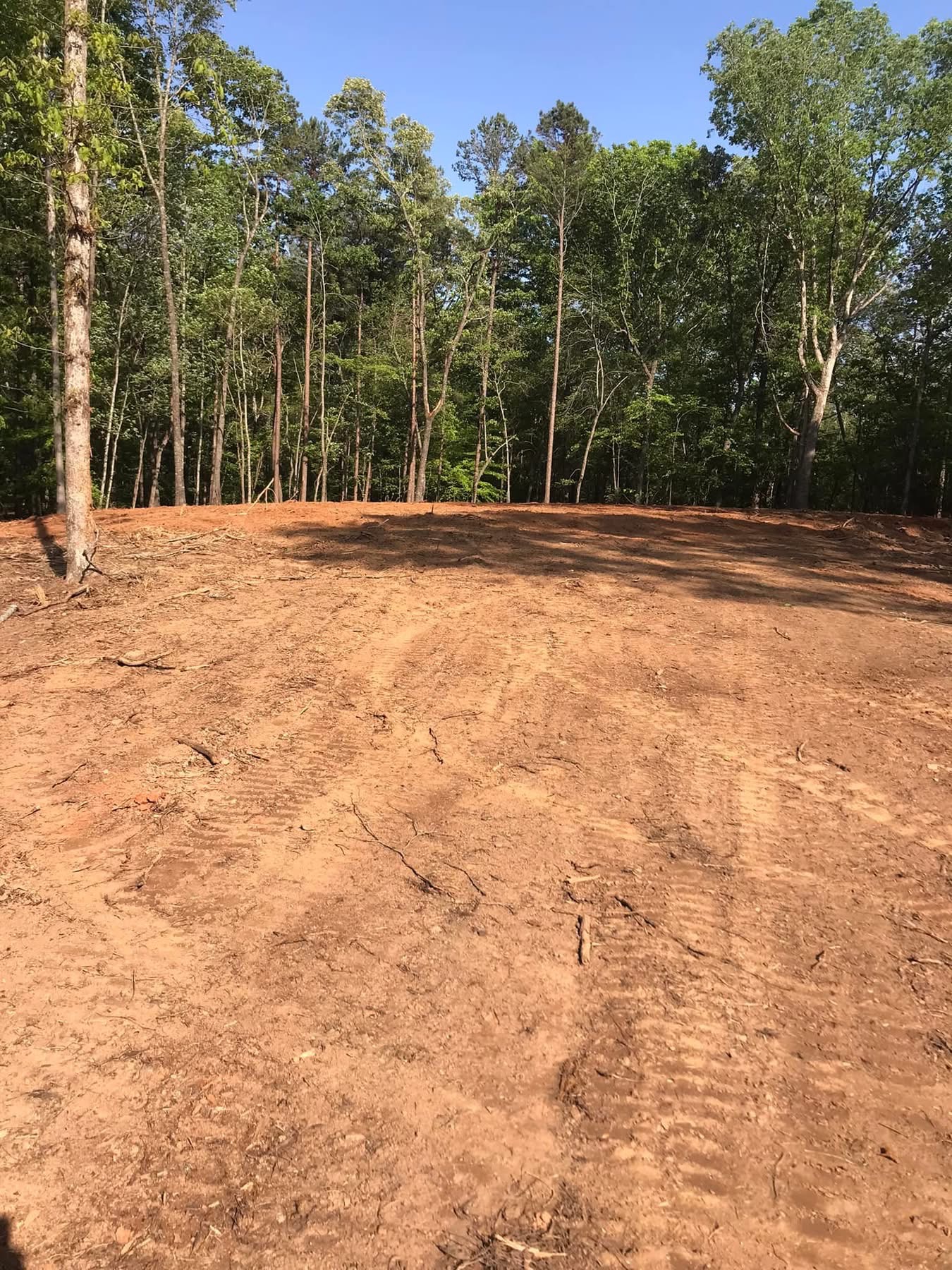 Cleared ground